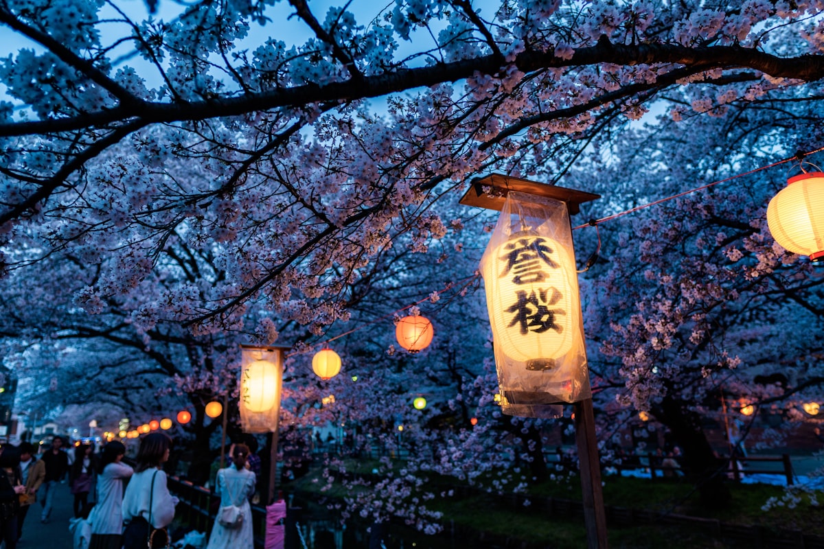 夜桜と提灯が並ぶ日本の春のお祭り